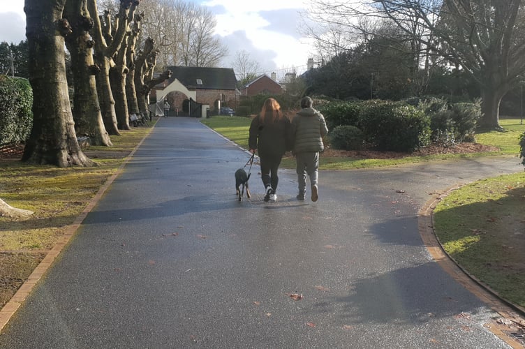 A couple walk their dog on a lead through Wellington Park.