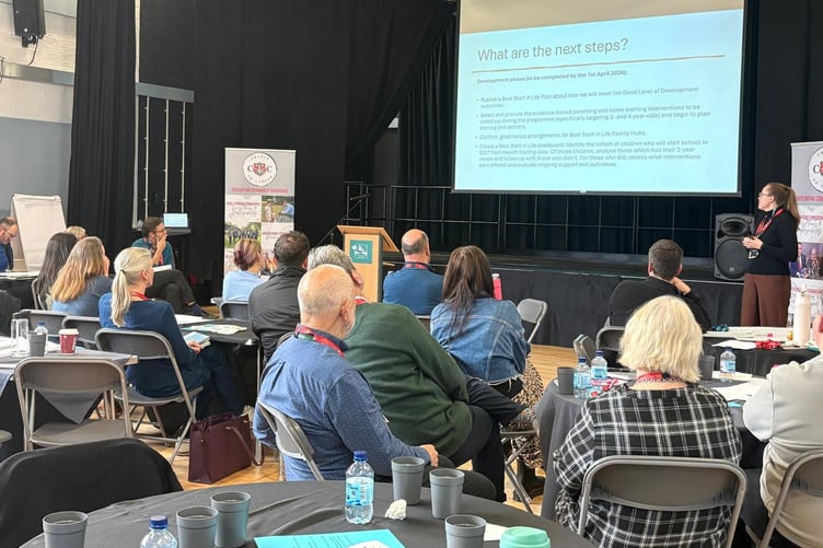 More than 80 people were brought together in Court Fields School for a Cradle to Career conference on how to support Wellington youngsters in their early life.