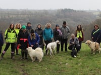 Animal sanctuary's pet celebration day returns