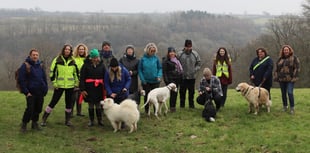 Animal sanctuary's pet celebration day returns