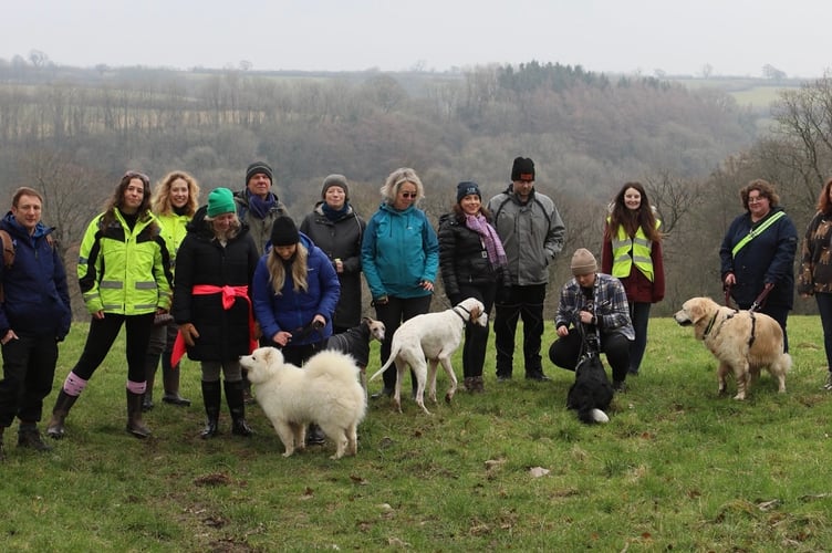 The pet celebration dog walk at Ferne Animal Sanctuary.