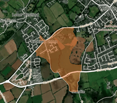 Wellington power outage hits hundreds