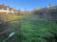 Overgrown garden could be transformed 