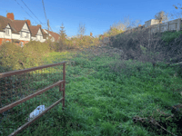 Overgrown garden could be transformed 