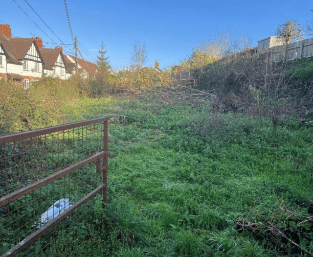 Overgrown garden could be transformed 