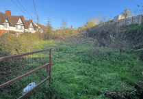 Plans to turn overgrown garden into site for four houses