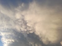 Letters from our readers in Wellington and beyond