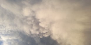 Letters from our readers in Wellington and beyond