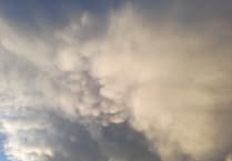 Letters from our readers in Wellington and beyond