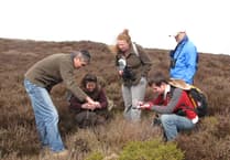 Help survey adders in the Blackdown Hills