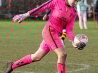 Wellington Wildcats back with splendid home victory 