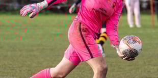 Wellington Wildcats back with splendid home victory 