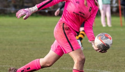 Wellington Wildcats back with splendid home victory 