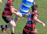 Wellington look to avoid another rugby defeat 