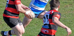 Wellington look to avoid another rugby defeat 