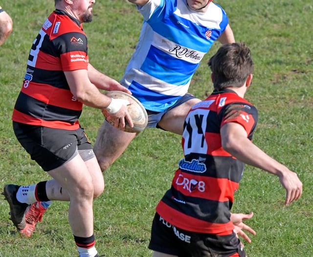 Wellington look to avoid another rugby defeat 