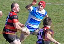 Wellington look to avoid another rugby defeat