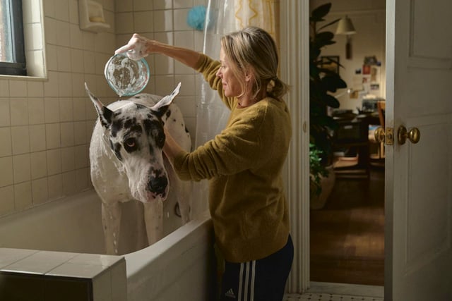 Community cinema to screen 'The Friend'