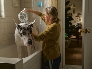 Community cinema to screen 'The Friend'