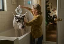 Community cinema to screen 'The Friend'