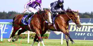 Seventy-five entries for Cothelstone point to point 