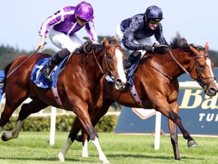 Seventy-five entries for Cothelstone point to point 