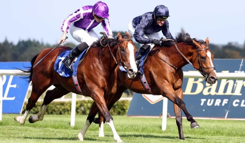 Seventy-five entries for Cothelstone point to point 