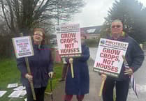 Charity joins criticism of 'speculative' Wellington farmland housing development