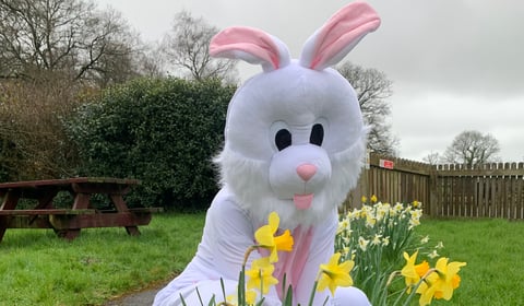 Ferne Sanctuary set for spring celebration