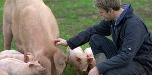 Farm shop to host charity day