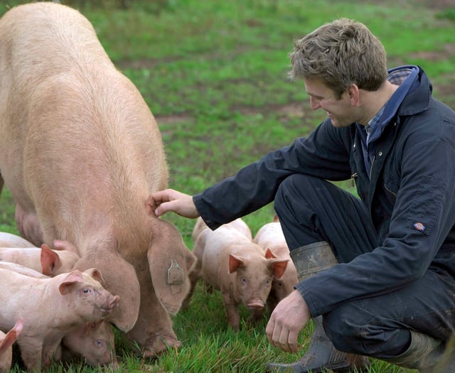 Farm shop to host charity day