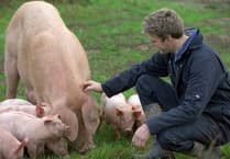 Rumwell Farm shop to host charity day for Dorset and Somerset Air Ambulance