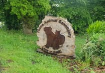 Axe throwing among activities lined up for Ferne Animal Sanctuary fun day