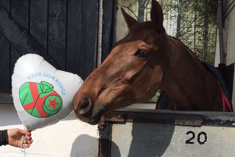 Vieux Lion Rouge who spent the whole of his career at Pond House Stables has passed away