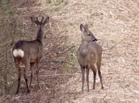 Letters from our readers in Wellington and beyond