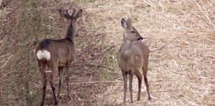 Letters from our readers in Wellington and beyond