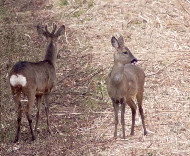 Letters from our readers in Wellington and beyond