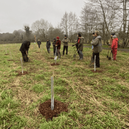 Volunteers planting trees in the Basins, in Wellington.