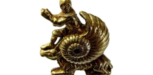 Community news from across the Wellington area