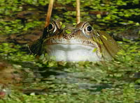 Letters from our readers in Wellington and beyond