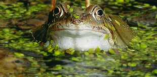 Letters from our readers in Wellington and beyond