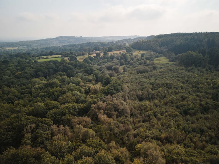 An aerial view of part of the Blackdown Hills where a pioneering Forestry England project is putting nature back in control.