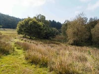 Putting nature back in control of landscape