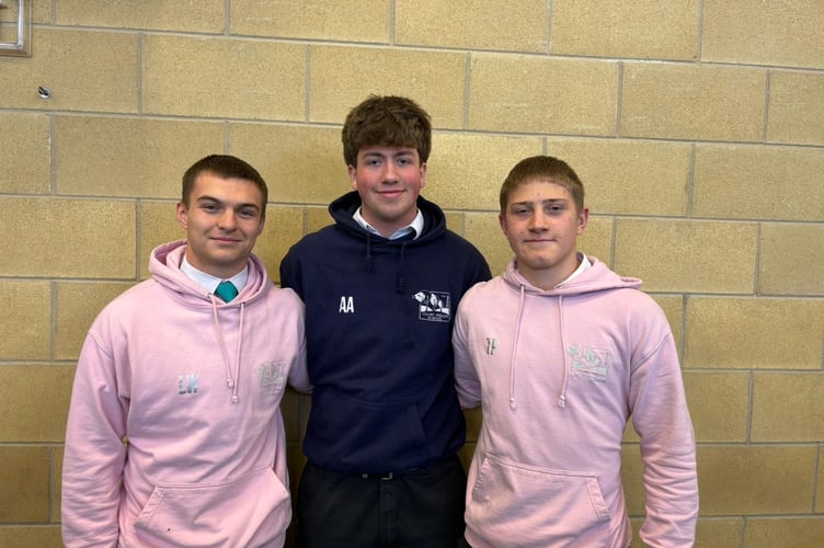 Alex, Theo and Lucas before they 'braved the shave'