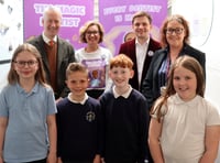 Magic dentistry scheme to begin at Wellington schools