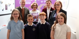 Magic dentistry scheme to begin at Wellington schools