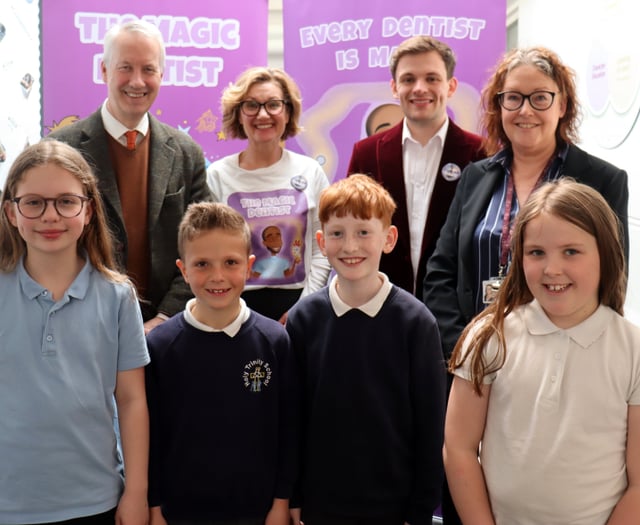 Magic dentistry scheme to begin at Wellington schools