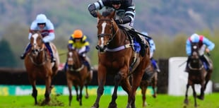 Cothelstone's point to point has attracted sixty entries 