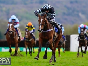 Cothelstone's point to point has attracted sixty entries 