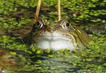 Letters from our readers in Wellington and beyond